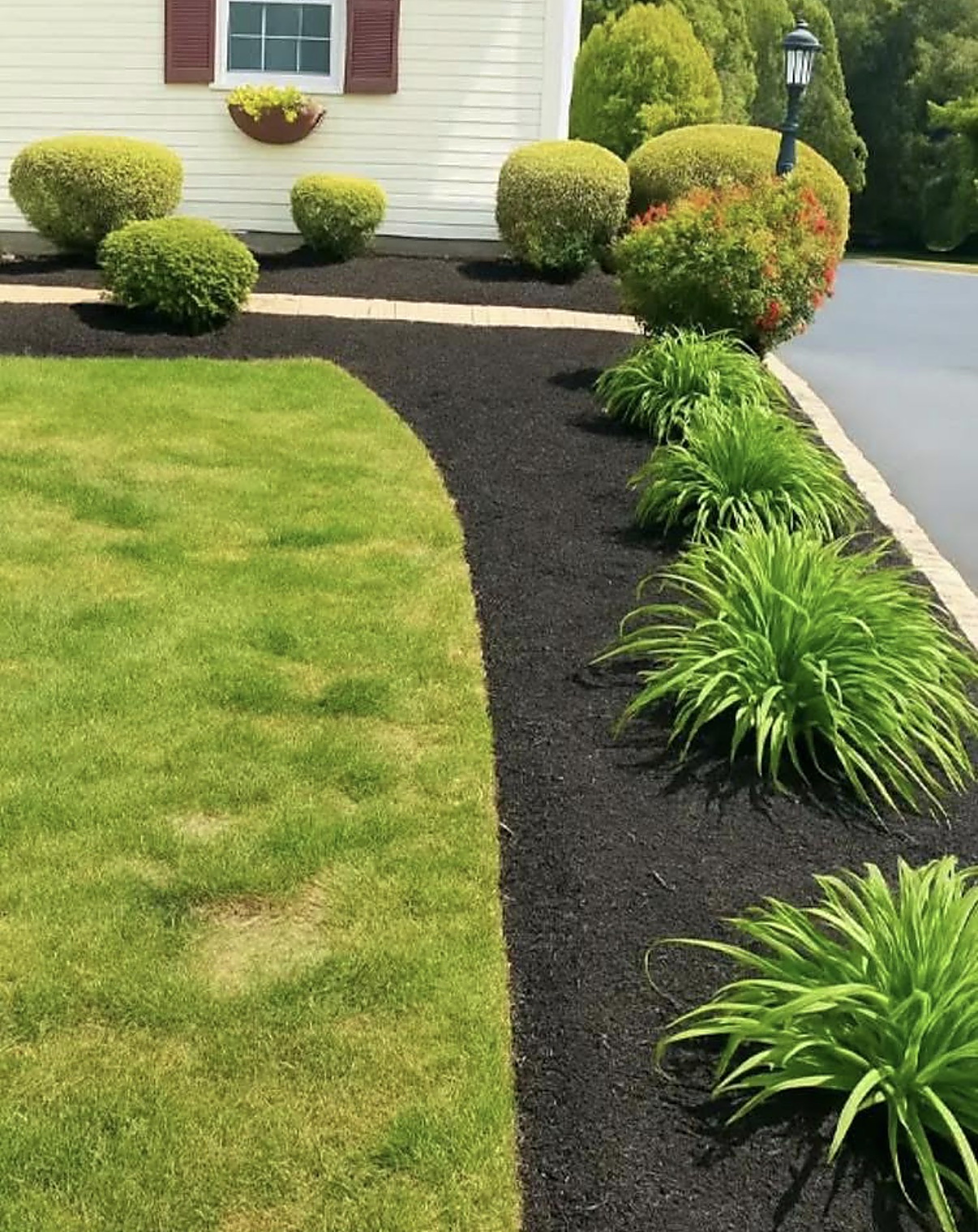 Front yard landscape refresh