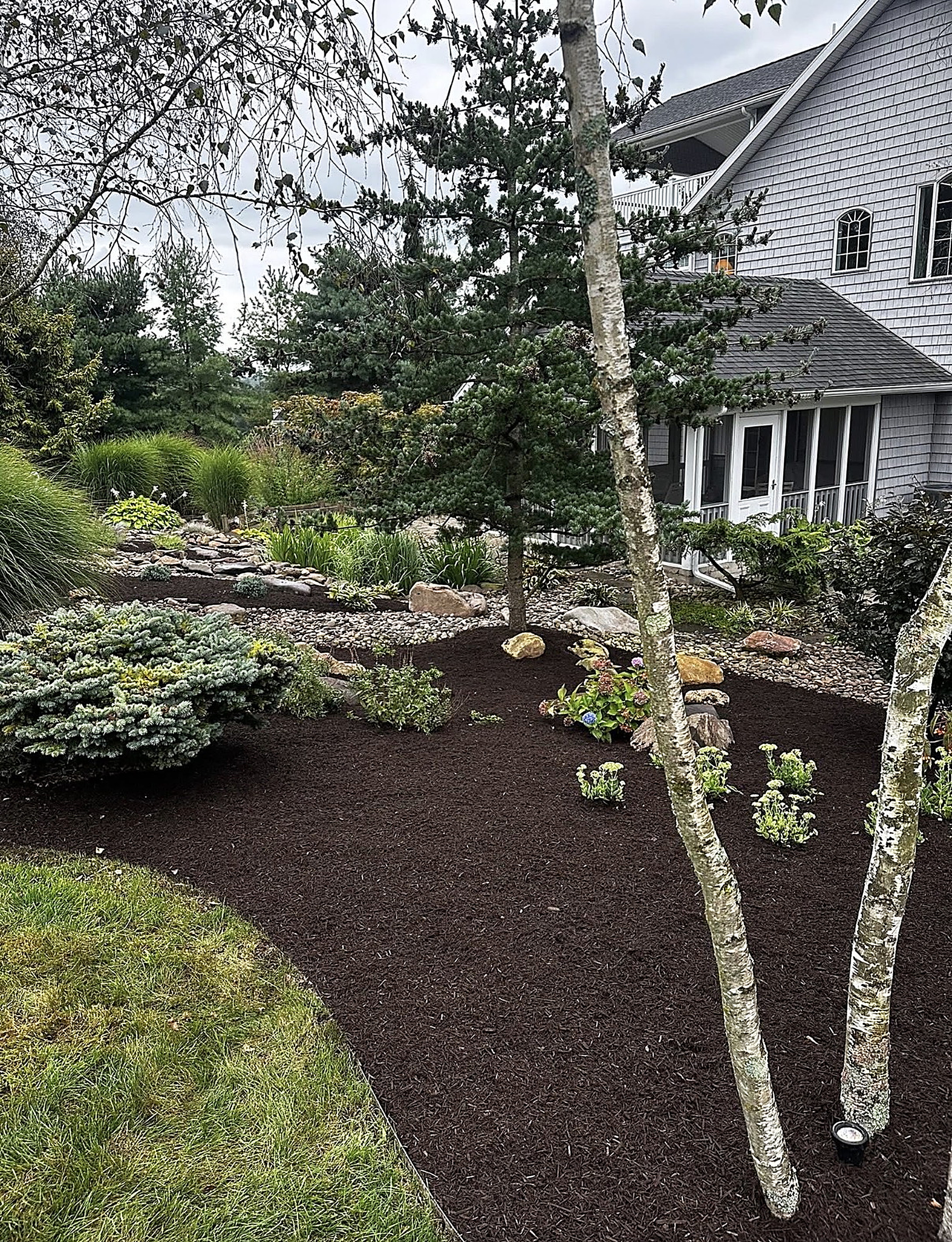 Premium landscape installation with layered plantings and fresh mulch beds